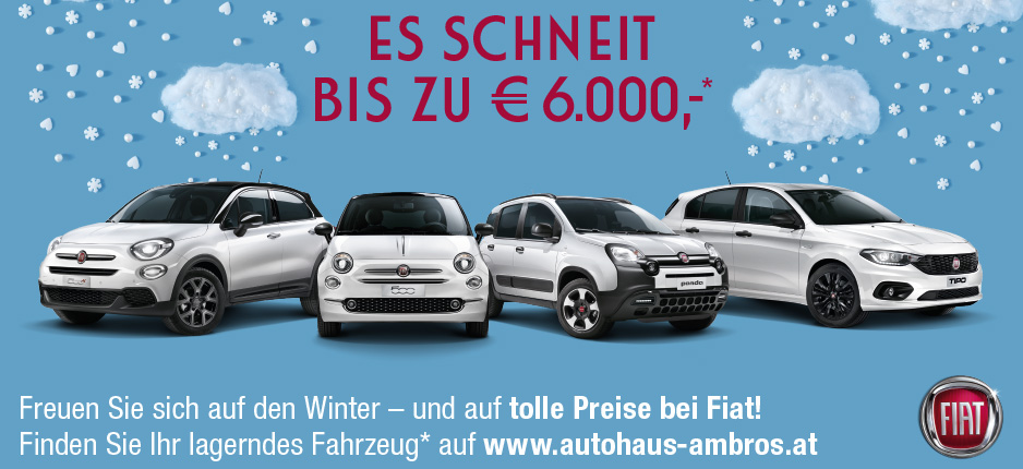 Es-schneit-bis-zu-6000-Euro-Fiat